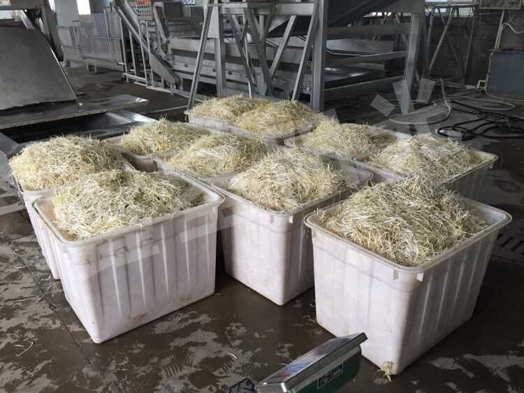 豆芽筛皮机 豆芽去皮机厂家笨豆芽去壳机 黄豆芽绿豆芽去壳机图3