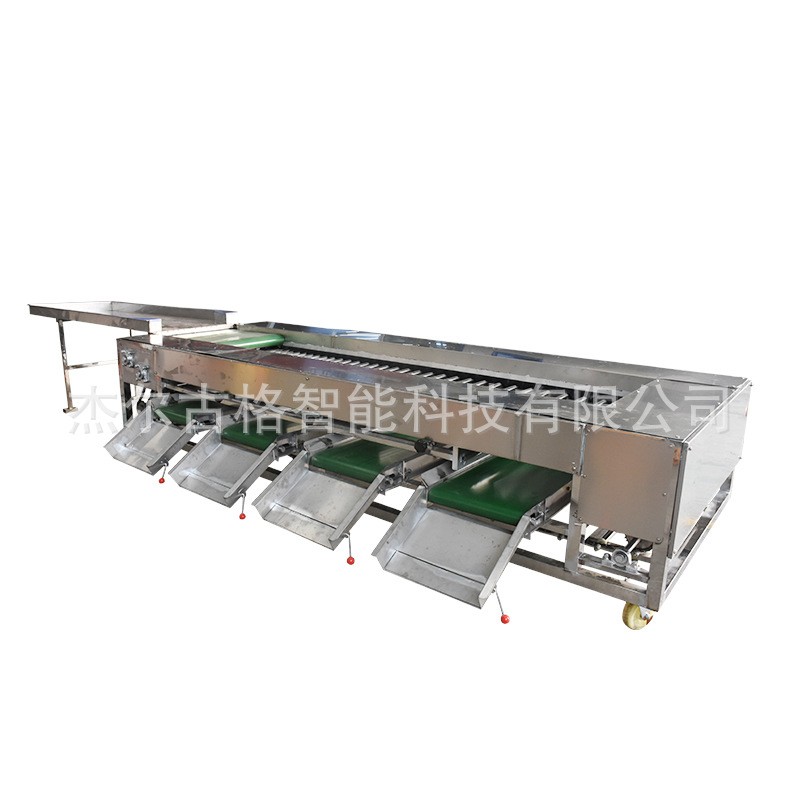 滚杠选果机 脐橙分拣机 果蔬捡果设备 脐橙分选机设备 柠檬分级机图5