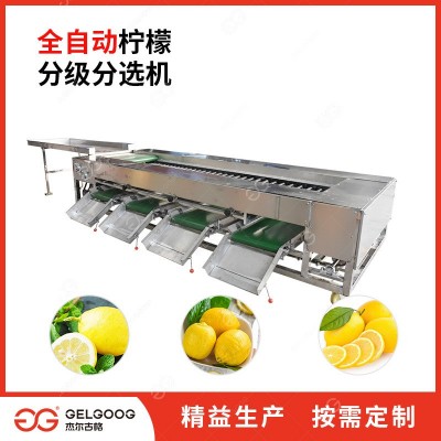 滚杠选果机 脐橙分拣机 果蔬捡果设备 脐橙分选机设备 柠檬分级机