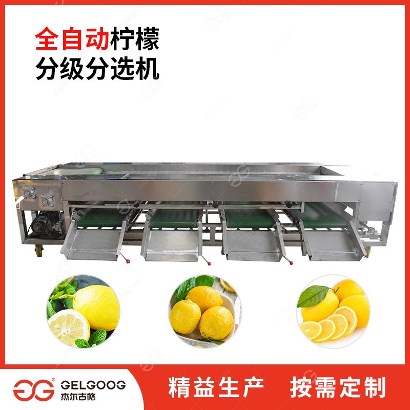 滚杠选果机 脐橙分拣机 果蔬捡果设备 脐橙分选机设备 柠檬分级机图3