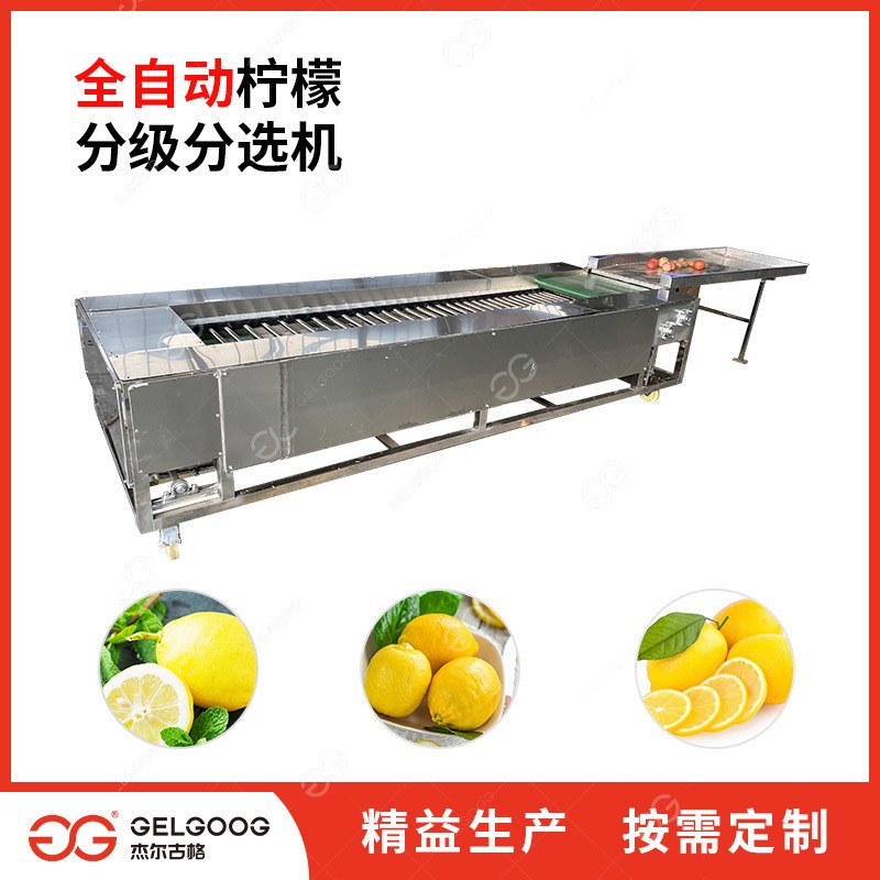 滚杠选果机 脐橙分拣机 果蔬捡果设备 脐橙分选机设备 柠檬分级机图4