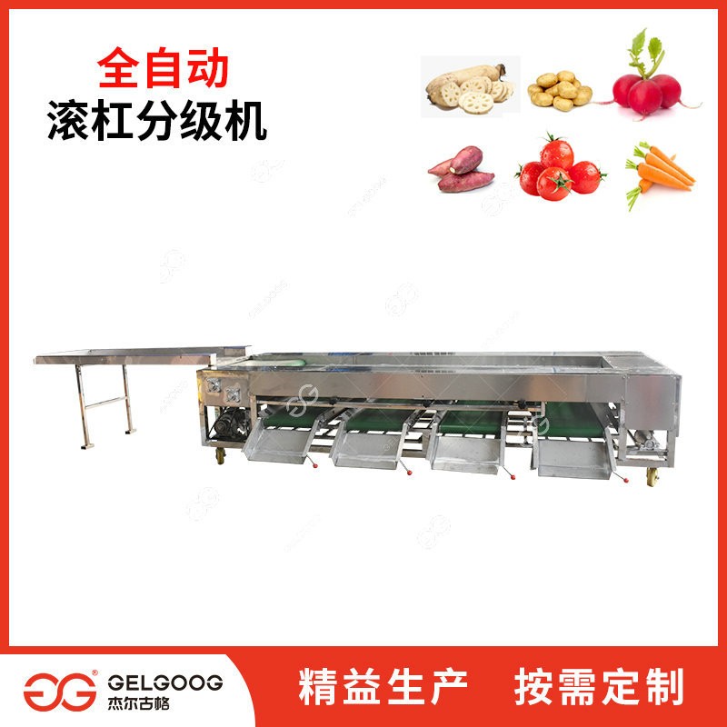 圣女果分级分选机 自动选果设备 番茄分选筛选机械 西红柿分级机图2
