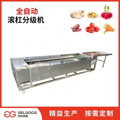 圣女果分级分选机 自动选果设备 番茄分选筛选机械 西红柿分级机