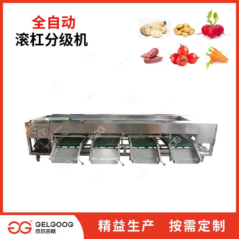 圣女果分级分选机 自动选果设备 番茄分选筛选机械 西红柿分级机图3