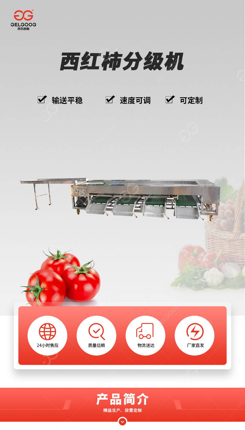 西红柿滚杠分级机首图xin_01