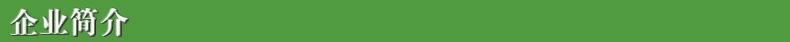 企业简介1.jpg