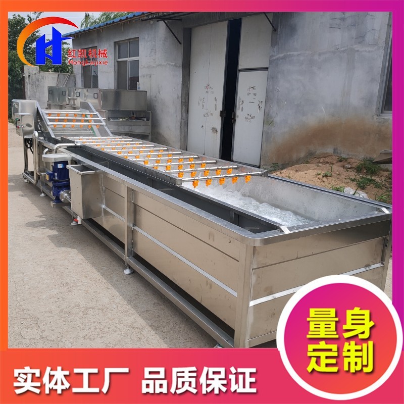 供应鼓泡式清洗设备 蒜米漂皮清洗机 全自动桃子喷淋式清洗机