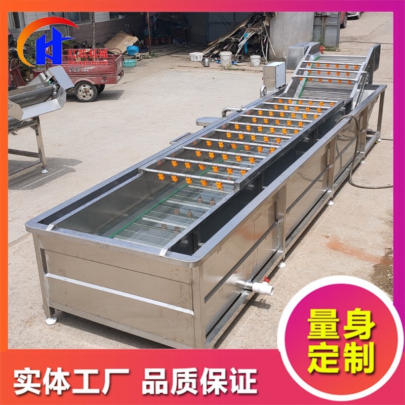 供应鼓泡式清洗设备 蒜米漂皮清洗机 全自动桃子喷淋式清洗机图2