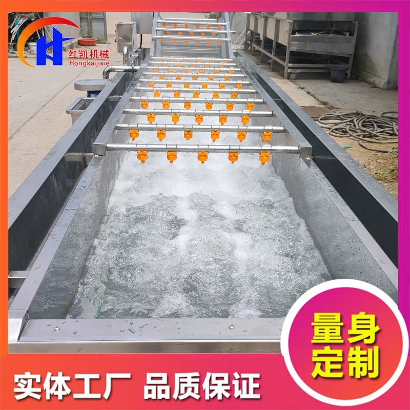 供应鼓泡式清洗设备 蒜米漂皮清洗机 全自动桃子喷淋式清洗机图3
