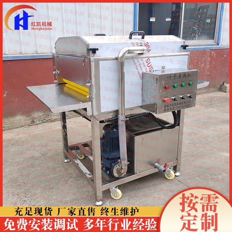 自动化荷叶清洗设备 全自动粽叶清洗机设备 喷淋式毛辊清洗设备图2