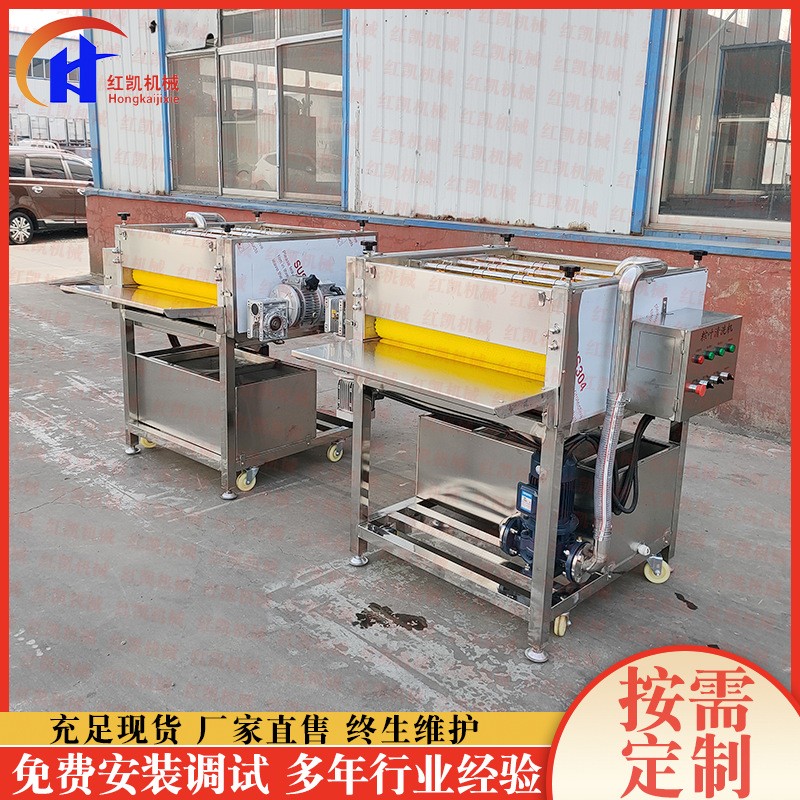 自动化荷叶清洗设备 全自动粽叶清洗机设备 喷淋式毛辊清洗设备图4