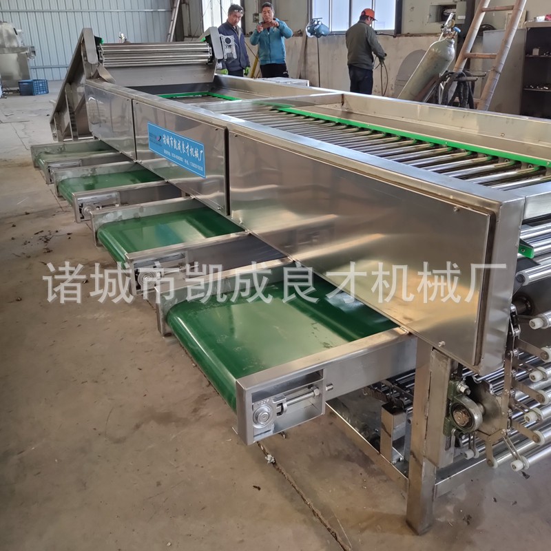 滚杠式选果机 良才牌地黄分级机 白芍分级机 果蔬加工设备图3