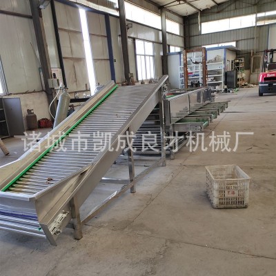 滚杠式选果机 良才牌地黄分级机 白芍分级机 果蔬加工设备