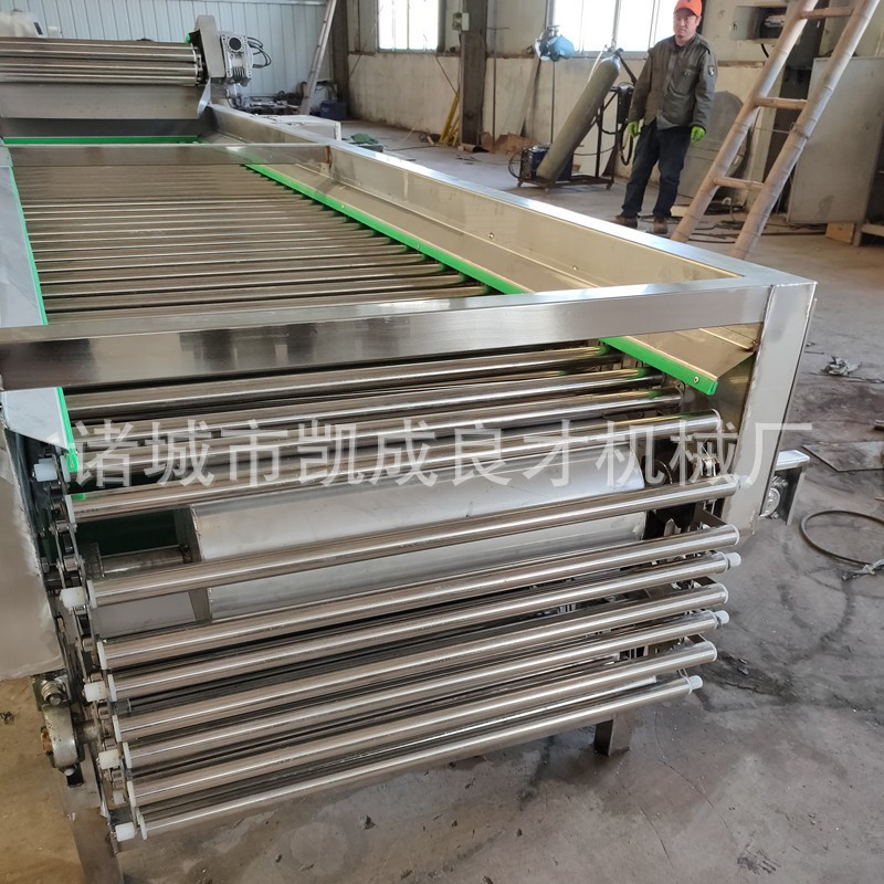 滚杠式选果机 良才牌地黄分级机 白芍分级机 果蔬加工设备图4