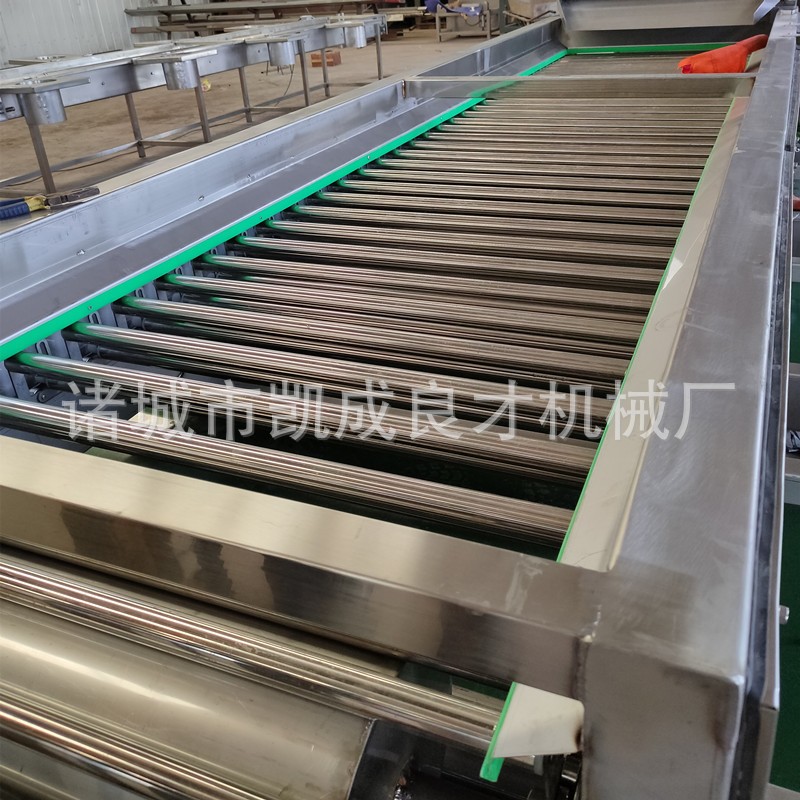 滚杠式樱桃车厘子葡萄大枣核桃分选机 厂家直销图4