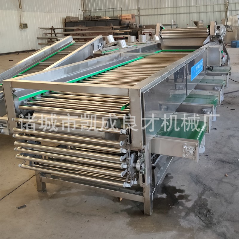 果蔬分选机 大小水果分级机 柑桔火龙果选果机图4