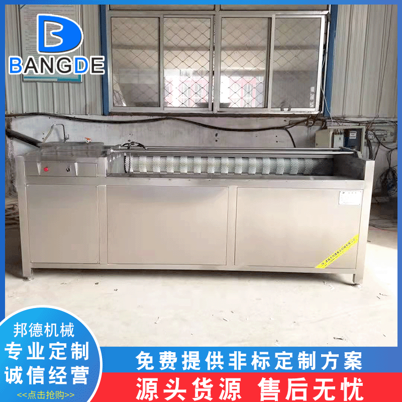 厂家土豆莲藕荸荠去皮清洗机 雪莲果毛辊清洗机 葛根去皮清洗机图2
