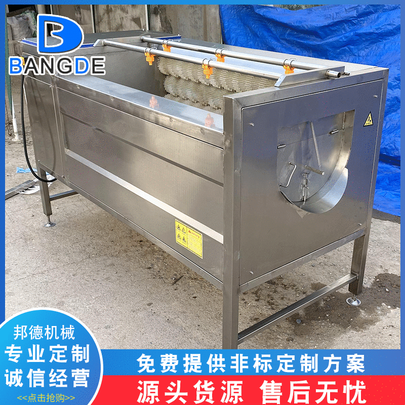 厂家土豆莲藕荸荠去皮清洗机 雪莲果毛辊清洗机 葛根去皮清洗机图4