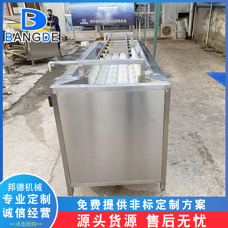 不锈钢白萝卜毛辊清洗机设备 莲藕去皮清洗机 辣菜疙瘩清洗机图4