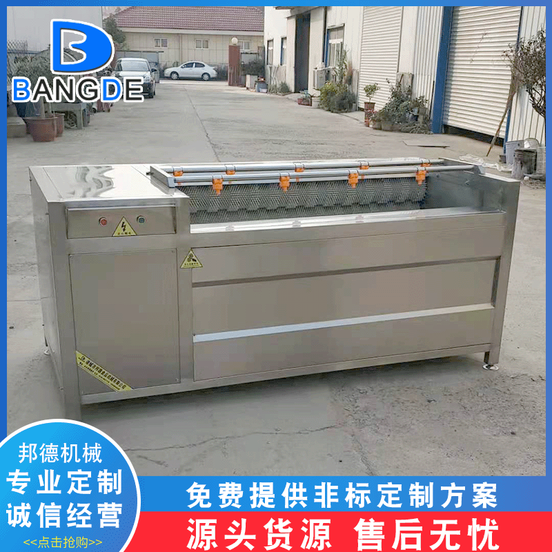 红薯自动毛辊清洗机 根茎类泥沙去皮清洗设备 当归净菜毛辊脱皮机