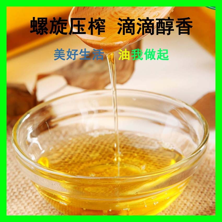 厂家货源现货160型商用大型全自动榨油机 自动上料螺旋菜籽榨油机图3