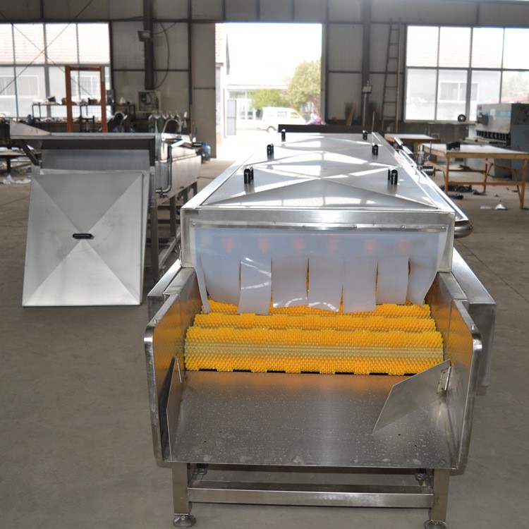 海产品海瓜子清洗机 全自动小龙虾去泥污连续式清洗设备图3