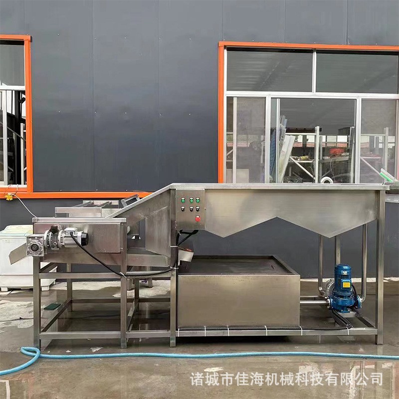 大型生姜清洗设备 地瓜喷淋式气泡清洗机 大姜洋葱果蔬清洗设备图3