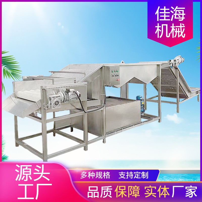 大型生姜清洗设备 地瓜喷淋式气泡清洗机 大姜洋葱果蔬清洗设备