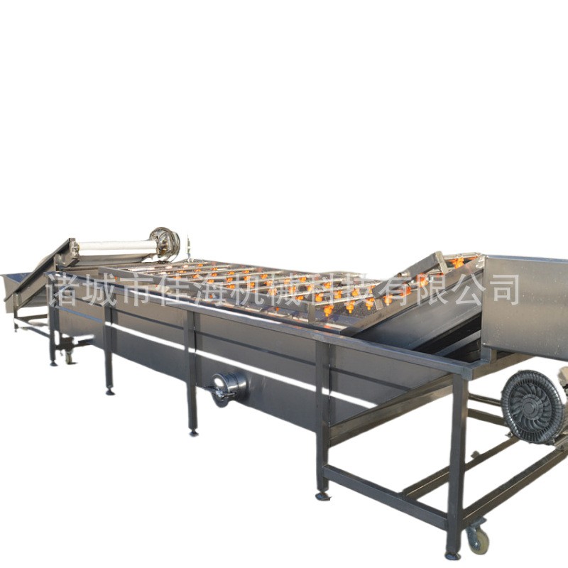 大型生姜清洗设备 地瓜喷淋式气泡清洗机 大姜洋葱果蔬清洗设备图5