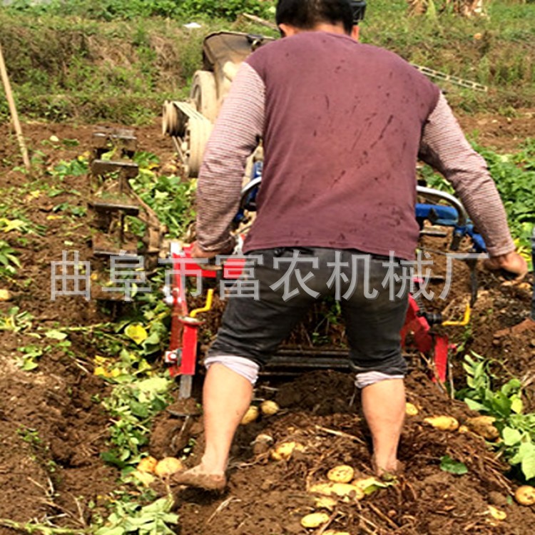 农作物收获机械 土豆收获机家用收获机械 牵引式收获机图3