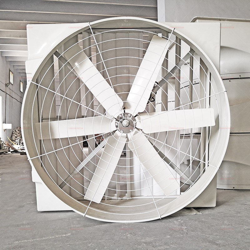 玻璃钢耐腐负压通风机 花卉苗木养殖猪室内大棚风扇 工厂业排风扇图3