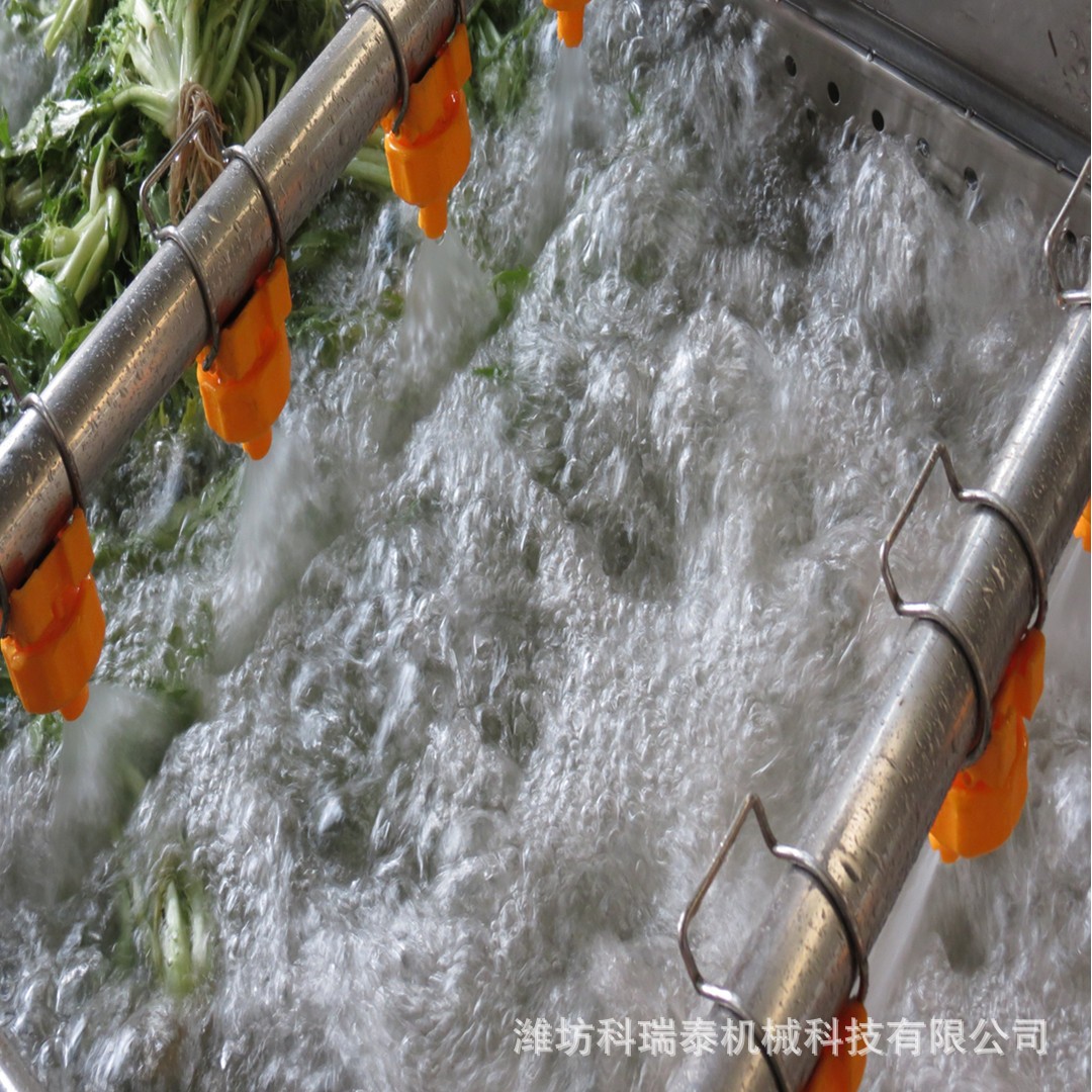 小香葱气泡清洗机 韭菜去农残专用清洗机 芹菜清洗流水线图4