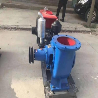 200HW-8大流量卧式混流泵水利工程城市排涝泵柴油机农用水泵