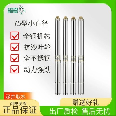 辉腾深井75型3寸潜水泵220v水泵高扬程家用小型深水泵井水抽水泵