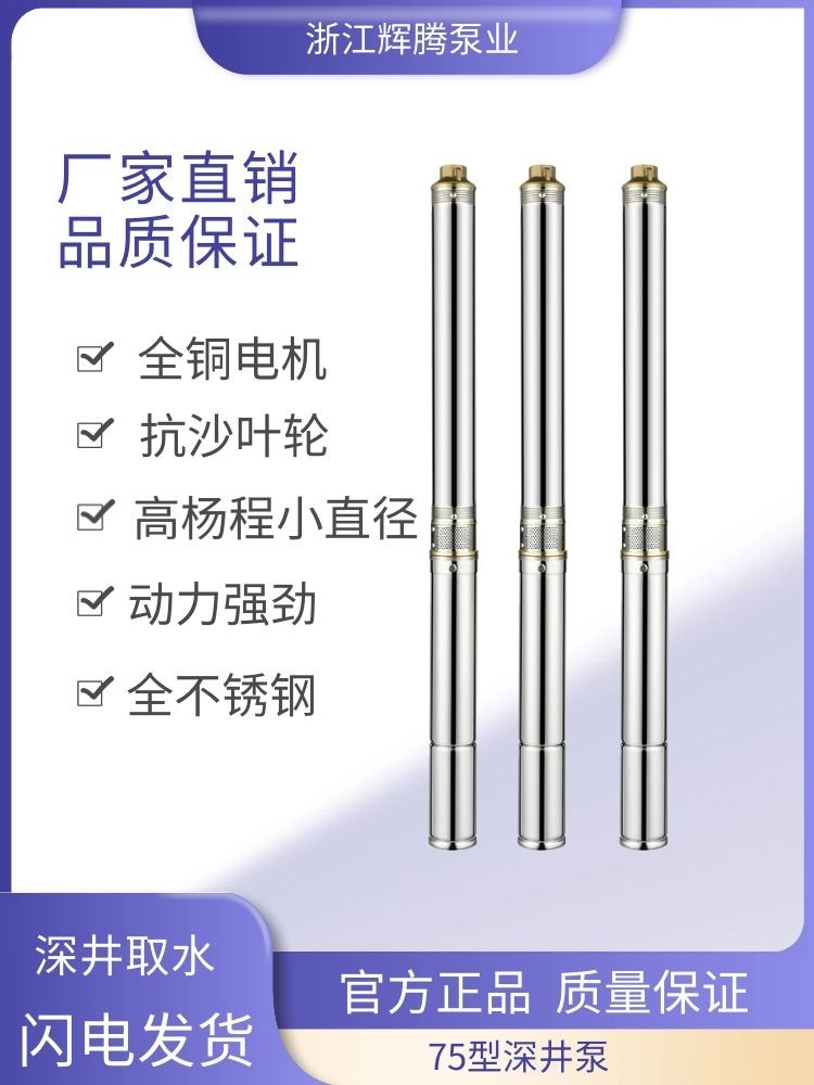辉腾深井75型3寸潜水泵220v水泵高扬程家用小型深水泵井水抽水泵图3
