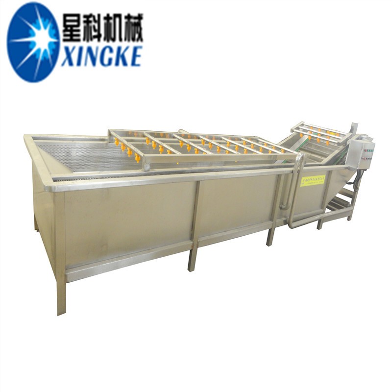 商用荔枝小葱清洗风干成套设备 根茎类蔬菜清洗机 蓝莓木耳清洗机图5