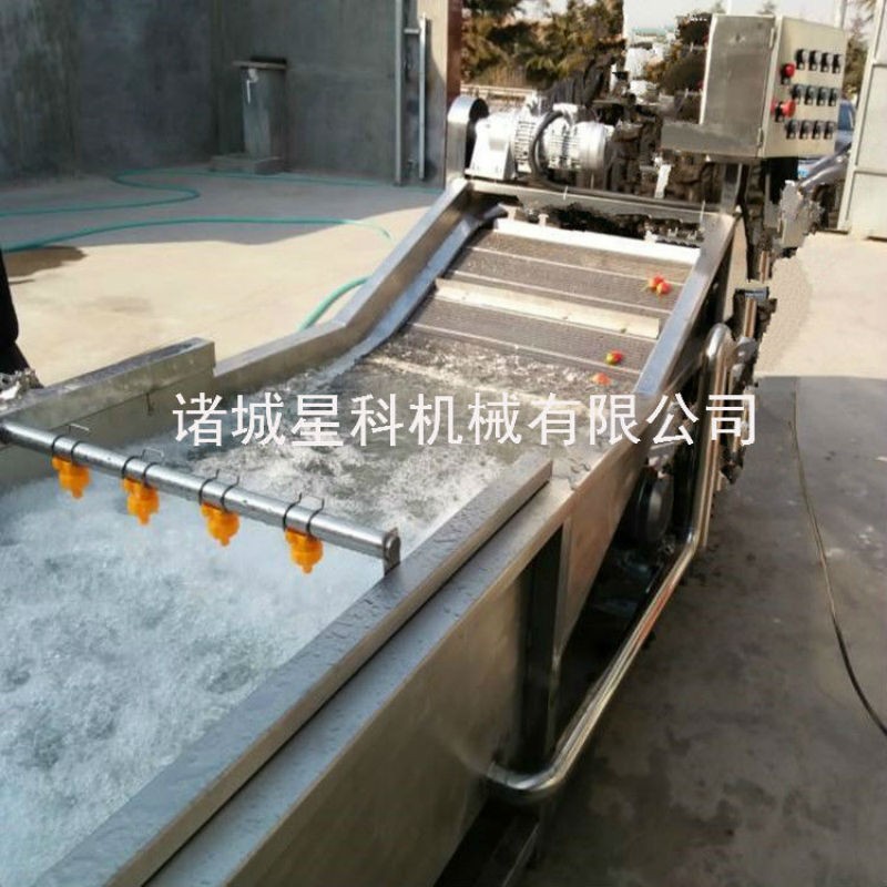 商用荔枝小葱清洗风干成套设备 根茎类蔬菜清洗机 蓝莓木耳清洗机图3