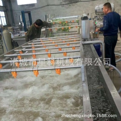 商用荔枝小葱清洗风干成套设备 根茎类蔬菜清洗机 蓝莓木耳清洗机
