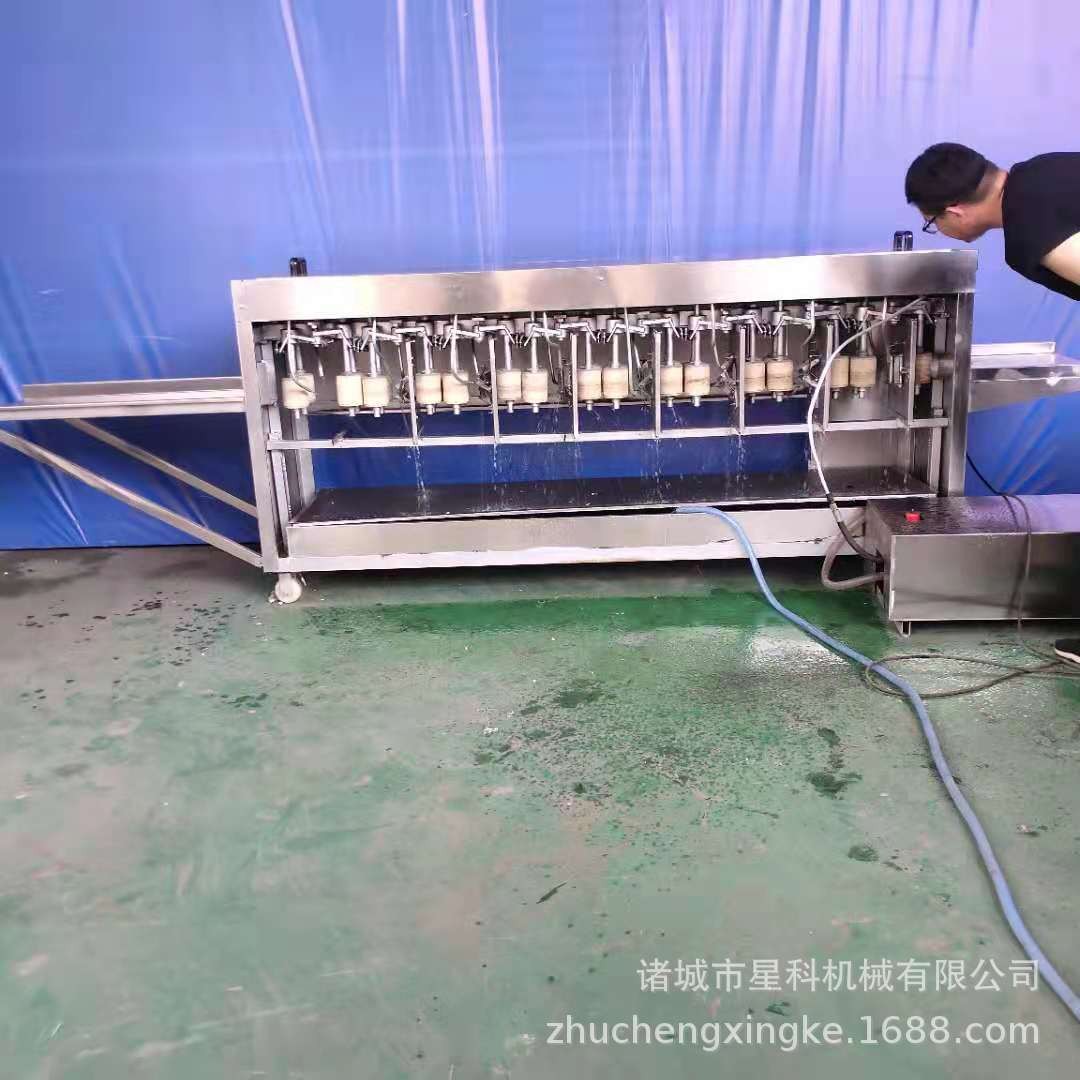 星科供应山药去皮机 大型莴笋铁棍山药削皮设备 半自动去皮机图3