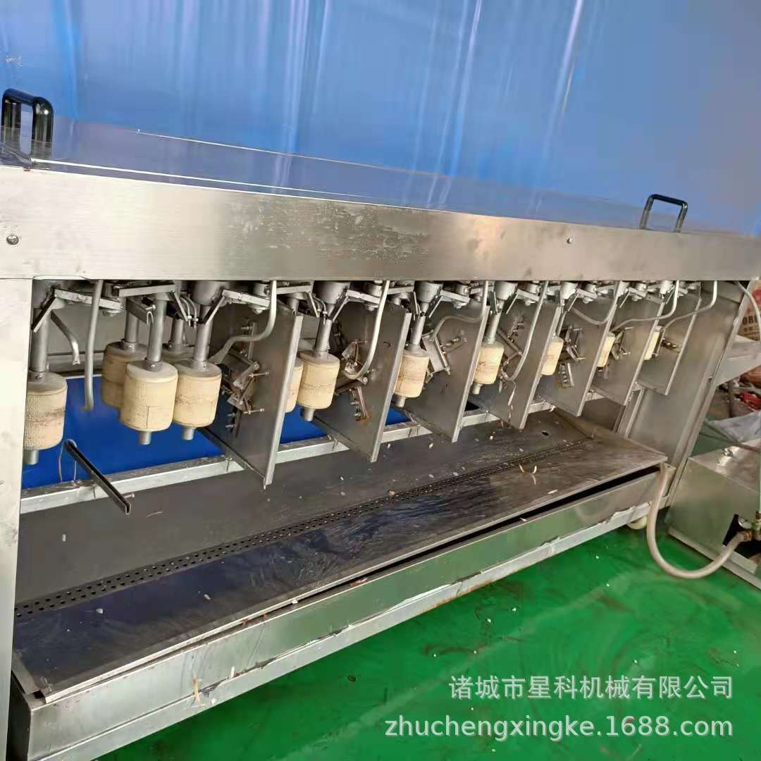 星科供应山药去皮机 大型莴笋铁棍山药削皮设备 半自动去皮机图4