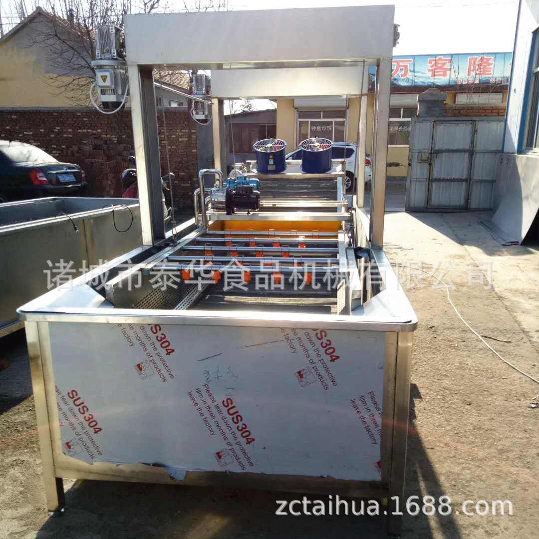 厂家销售 芦荟泥土清洗机 全自动芦荟表面清洗机 芦荟表面清洗机图3