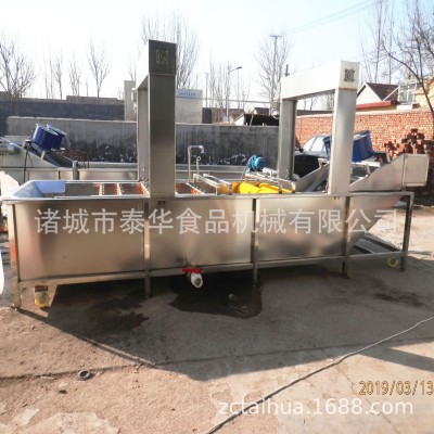 厂家销售 芦荟泥土清洗机 全自动芦荟表面清洗机 芦荟表面清洗机