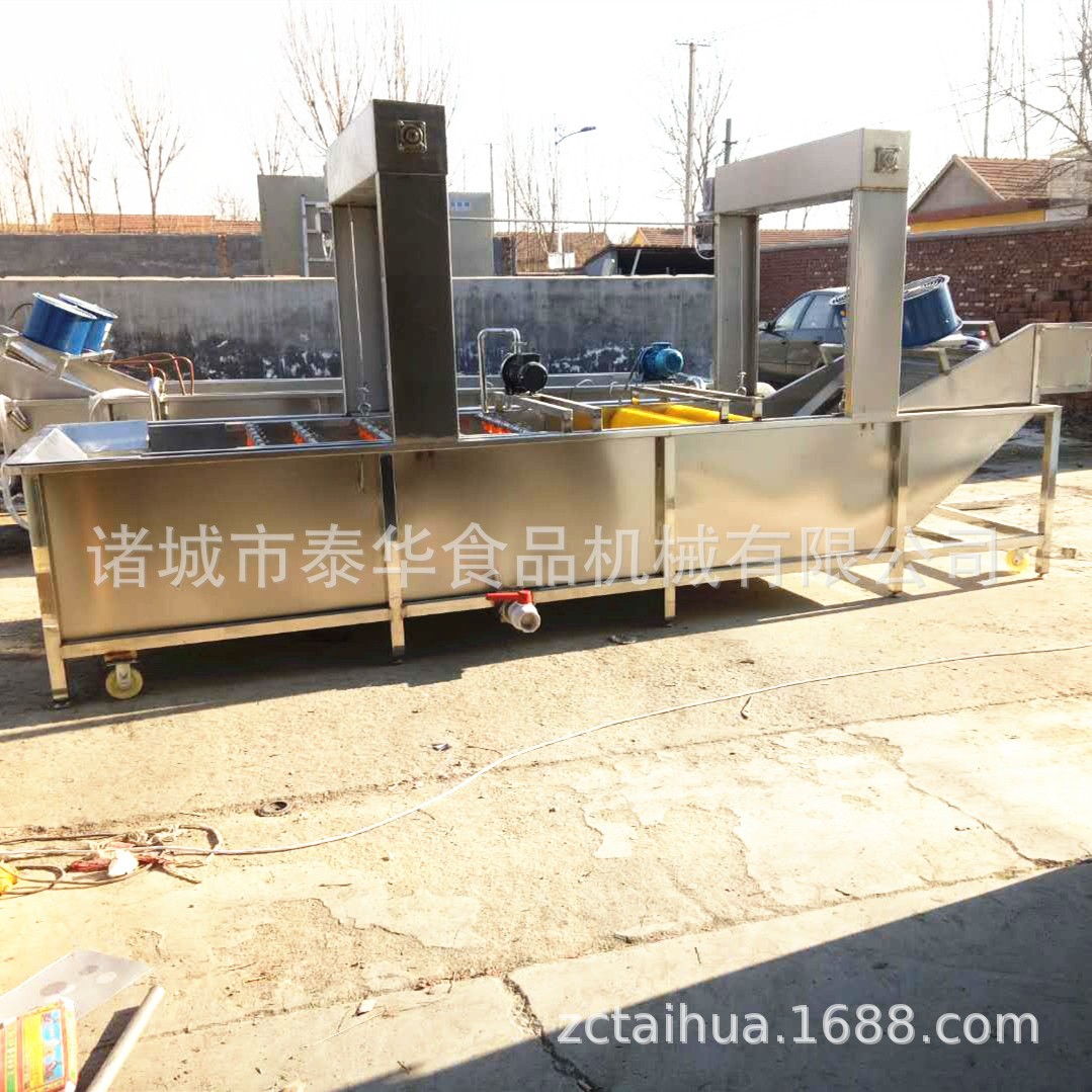 厂家销售 芦荟泥土清洗机 全自动芦荟表面清洗机 芦荟表面清洗机图4