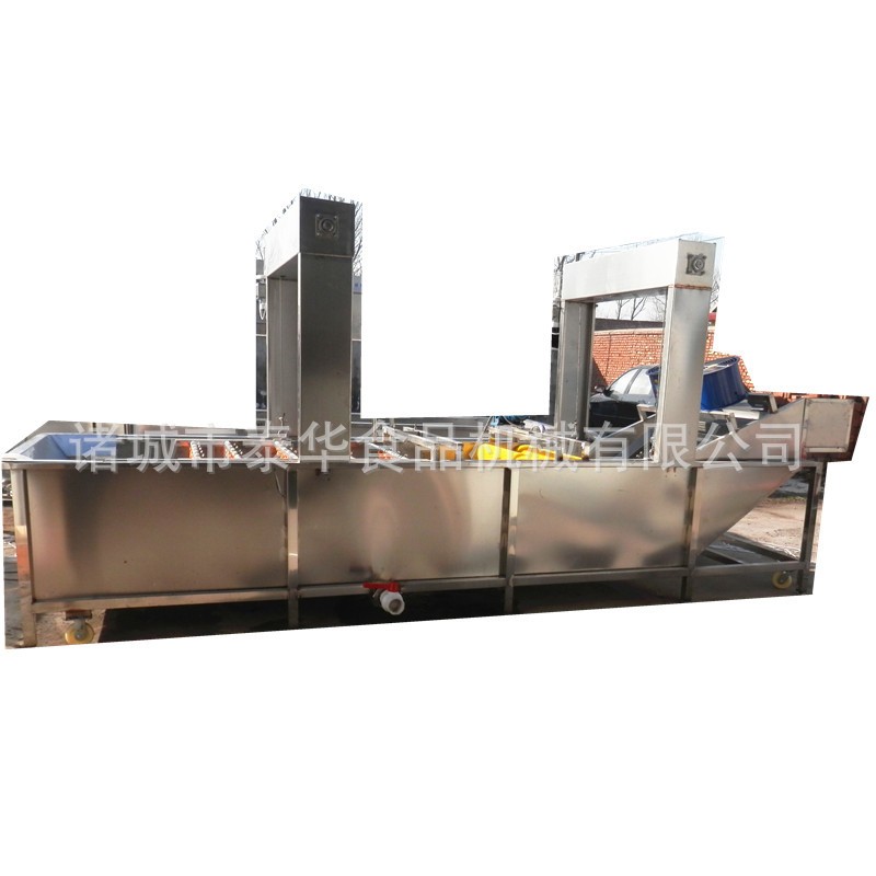 厂家销售 芦荟泥土清洗机 全自动芦荟表面清洗机 芦荟表面清洗机图5