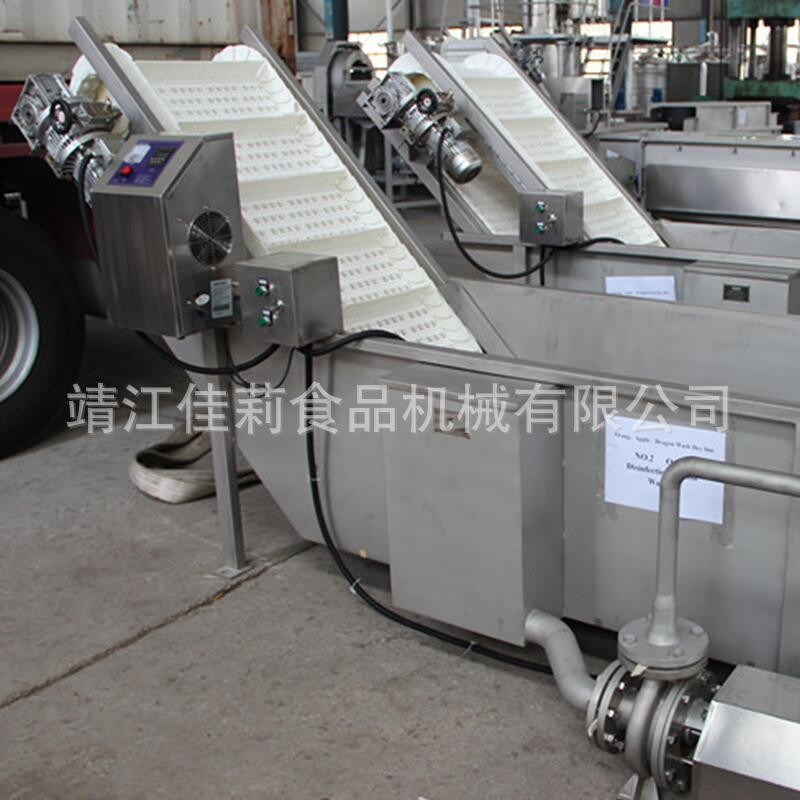 鼓泡浮选机 水果清洗机 蔬菜翻洗机 冲浪洗果机