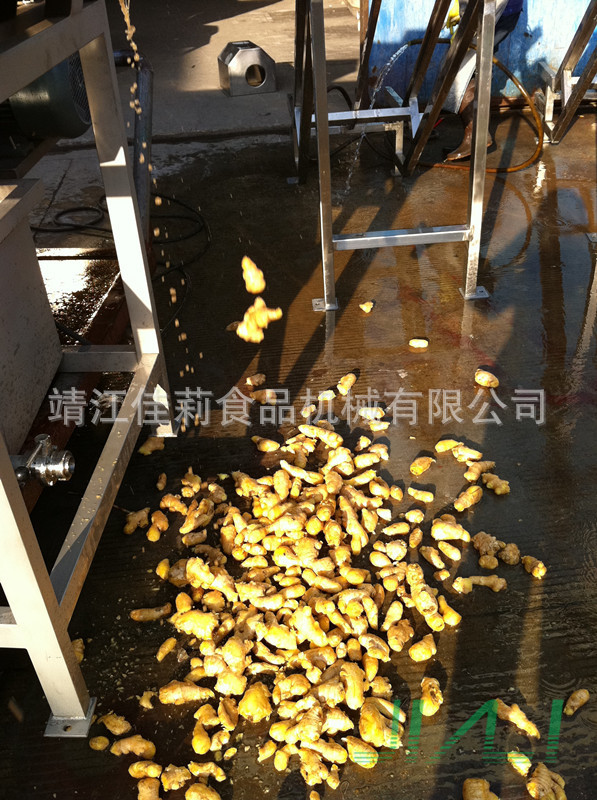 滚筒清洗机(生姜清洗效果)