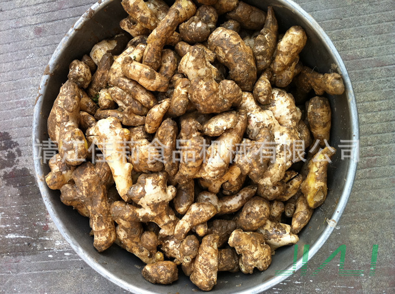 滚筒清洗机(生姜原料)