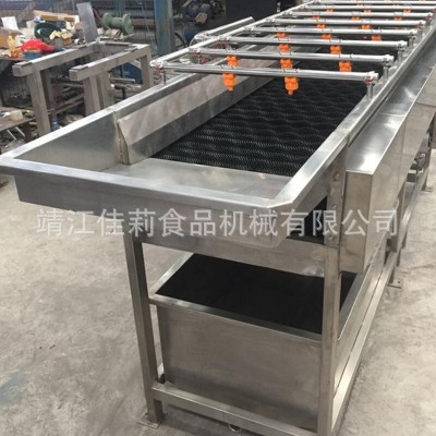 水平毛刷清洗机 刷果机 橙子红枣芒果柑橘清洗机