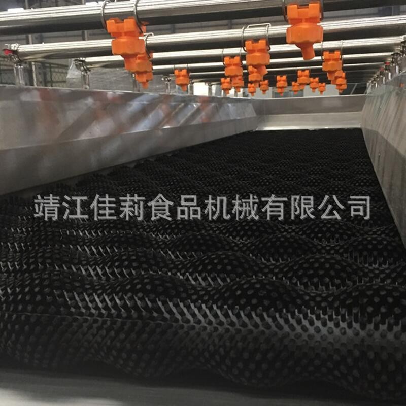 水平毛刷清洗机 刷果机 橙子红枣芒果柑橘清洗机图3