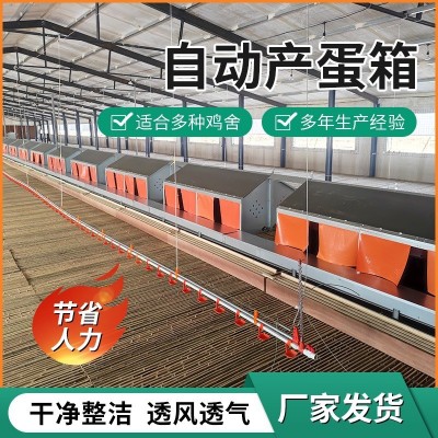 自动产蛋箱 禽畜自动产蛋设备 厂家供应框架式蛋箱